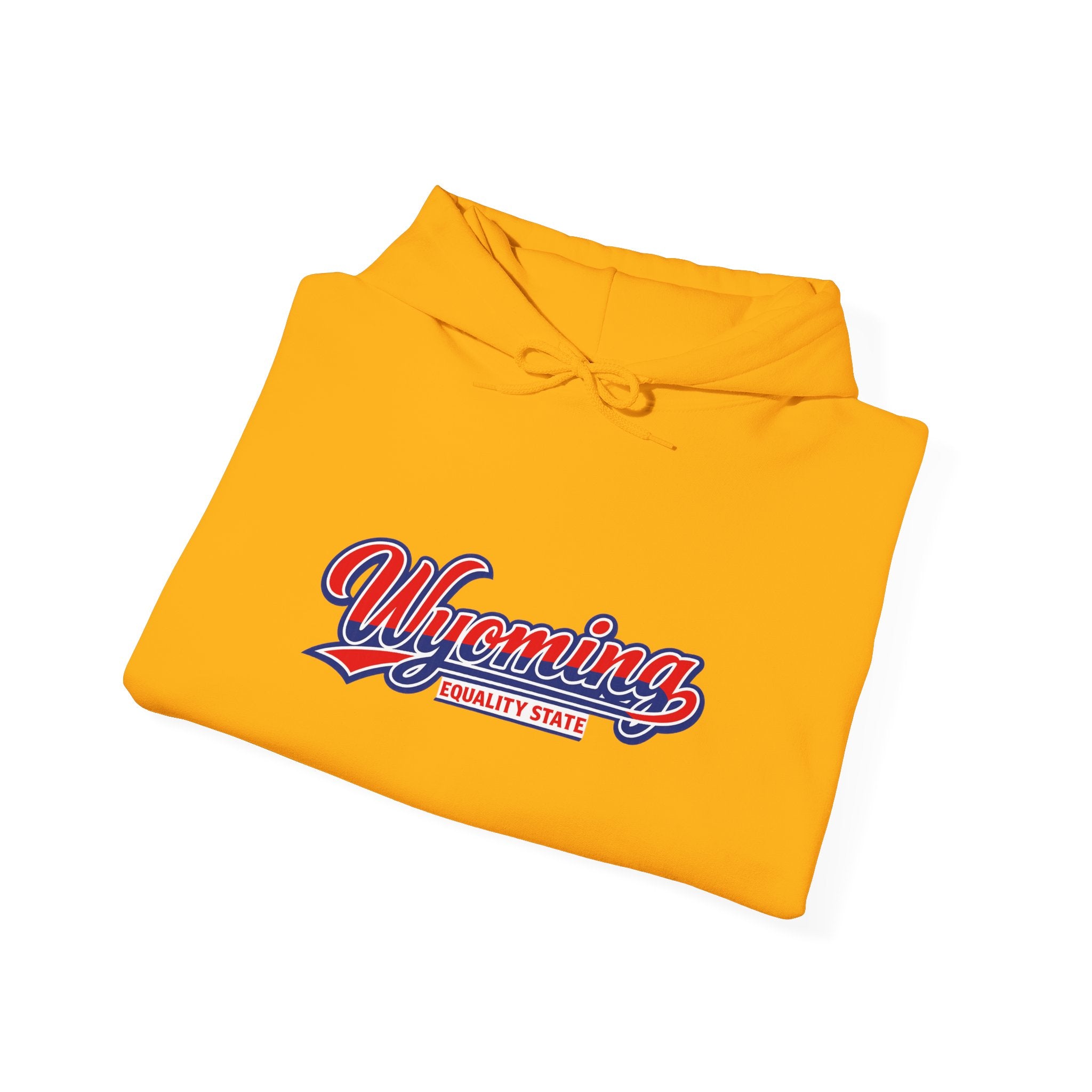 Wyoming Equality State Heavy Blend Hooded Sweatshirt