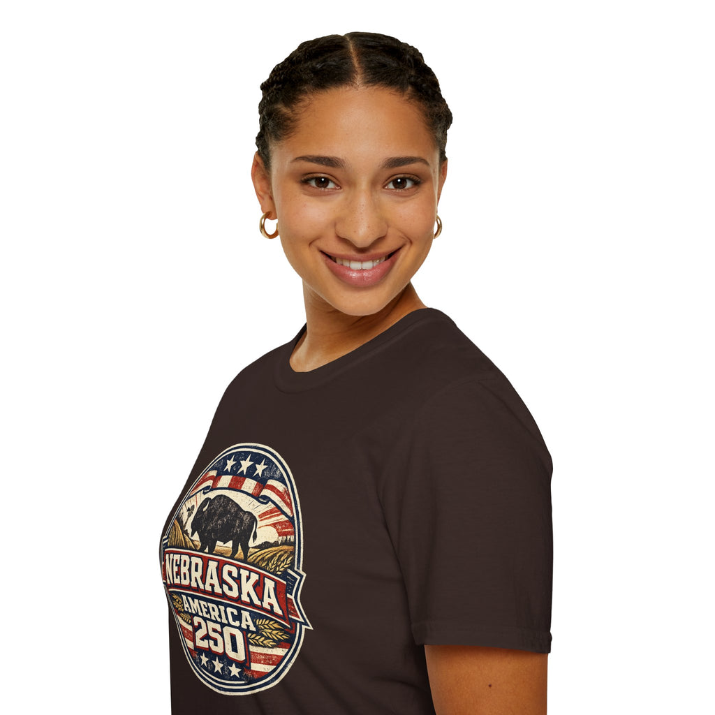 Nebraska Buffalo Retro T-Shirt — America 250 Vintage State Pride Tee