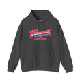 Hawaii The Aloha State Heavy Blend Hooded Sweatshirt