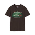 America 250 – Vermont Est. 1791 Mountain Star Vintage Tee Design