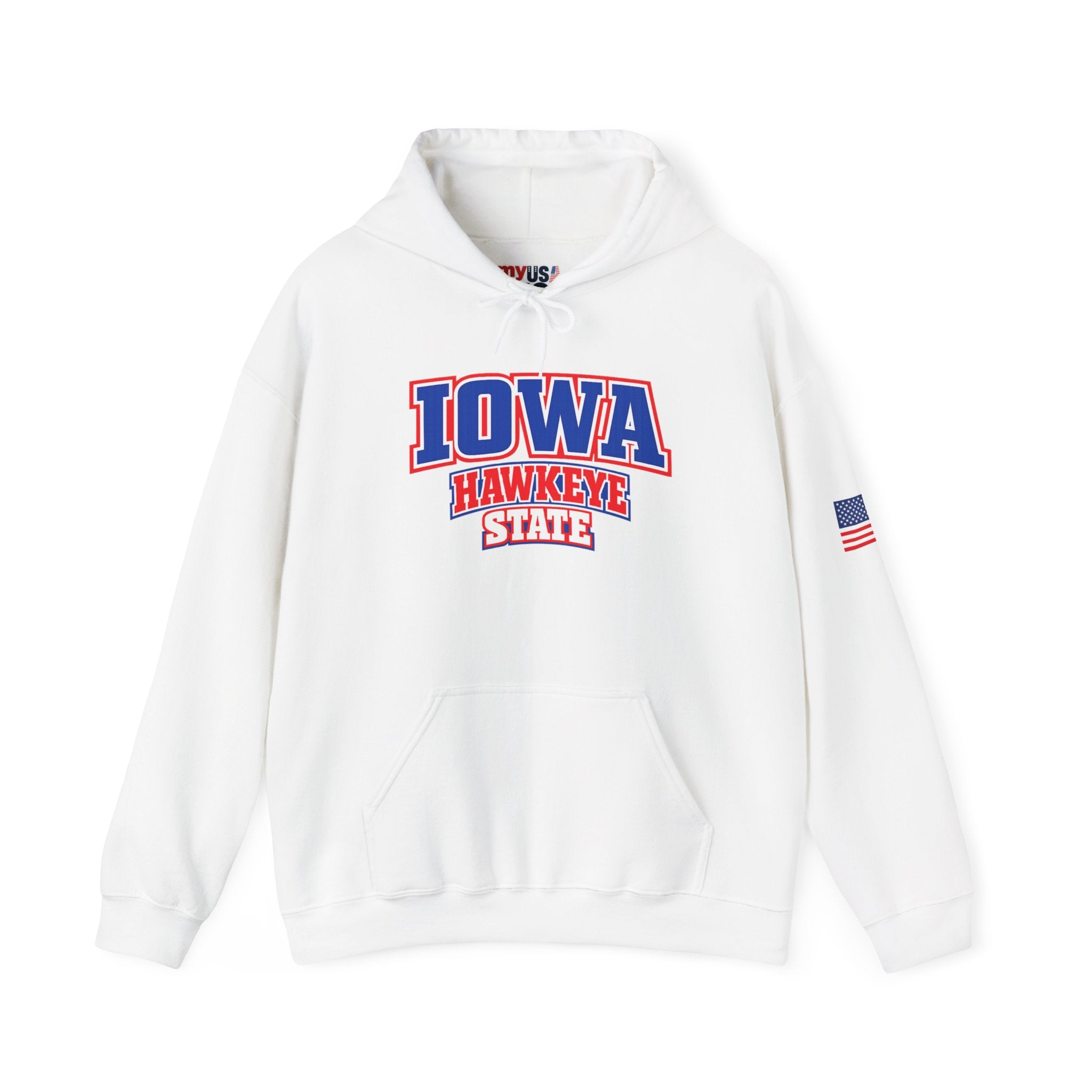 Iowa Hawkeye State Heavy Blend Hooded Sweatshirt