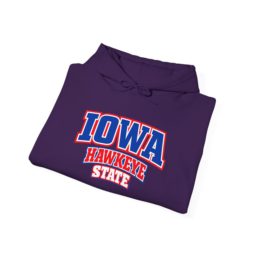 Iowa Hawkeye State Heavy Blend Hooded Sweatshirt