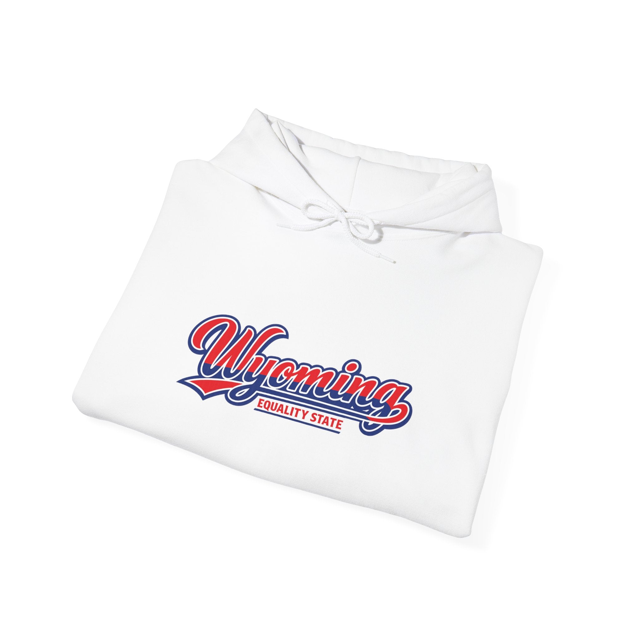 Wyoming Equality State Heavy Blend Hooded Sweatshirt