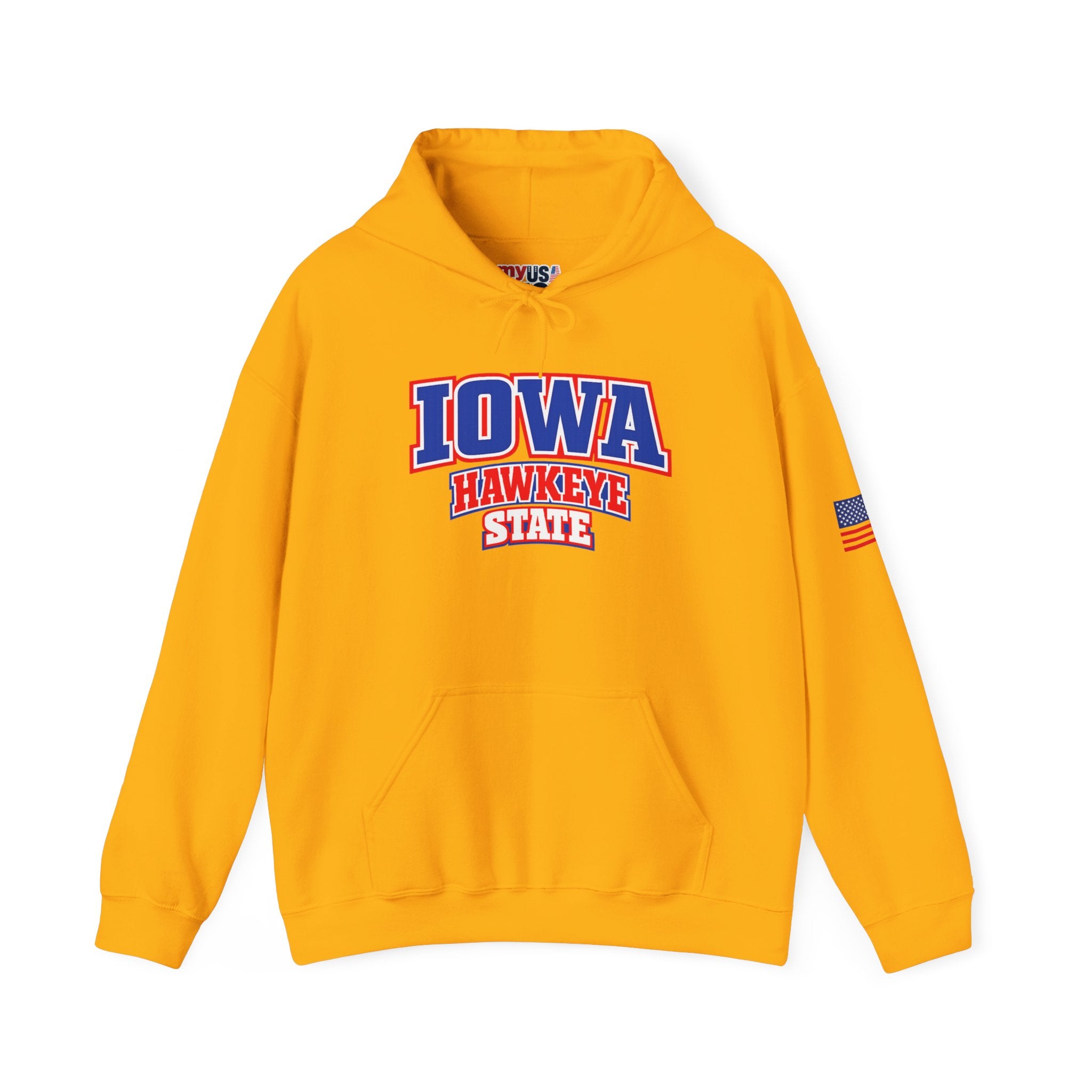 Iowa Hawkeye State Heavy Blend Hooded Sweatshirt