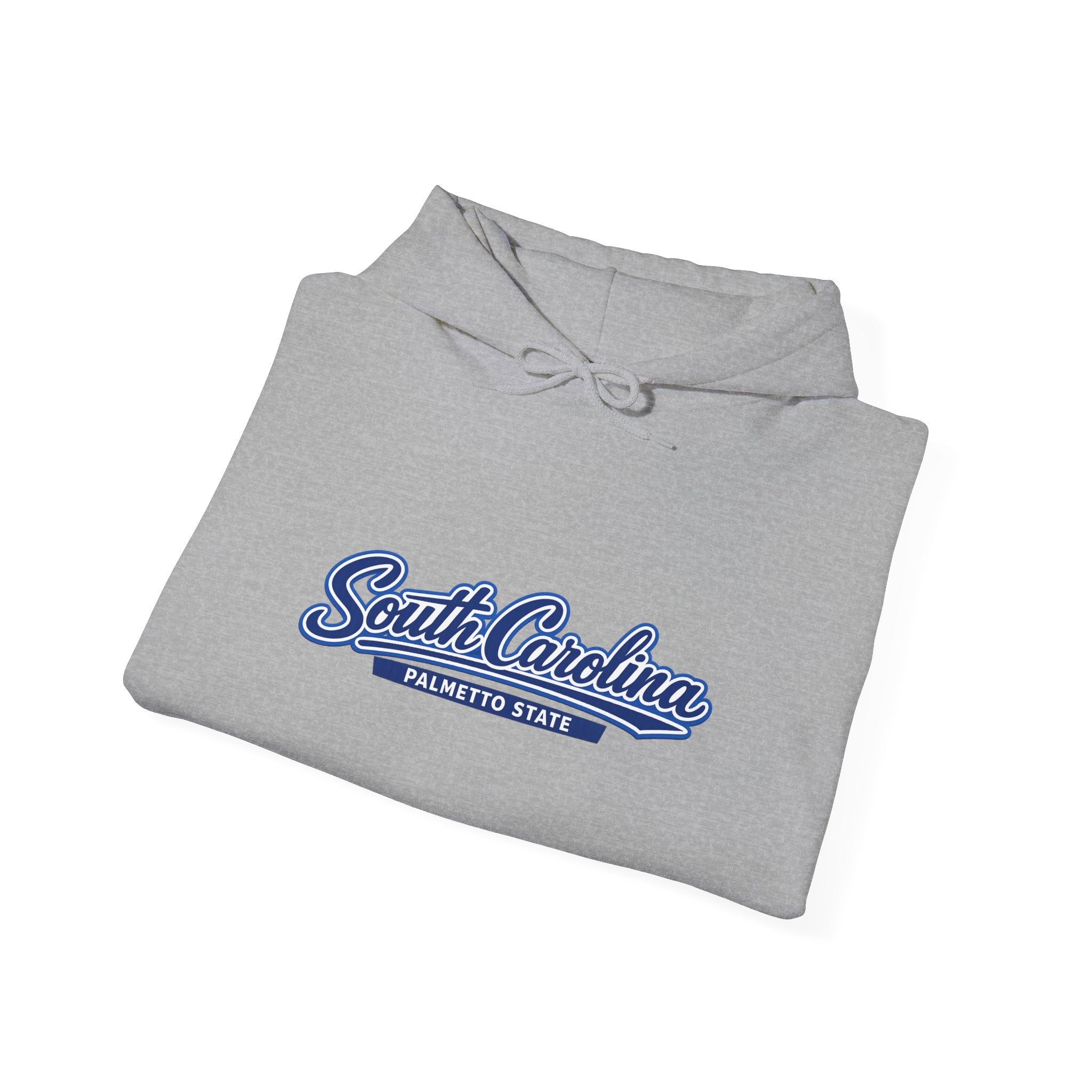 South Carolina Palmetto State Heavy Blend Hooded Sweatshirt