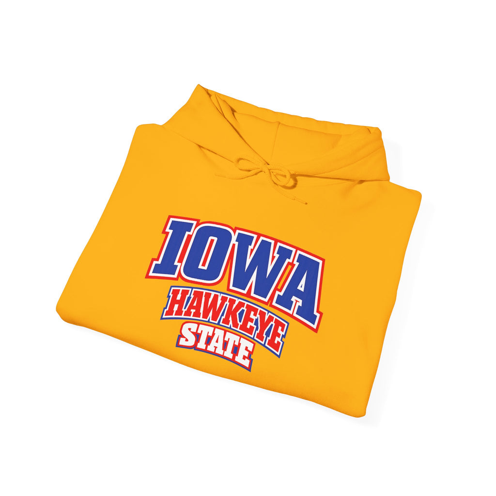 Iowa Hawkeye State Heavy Blend Hooded Sweatshirt