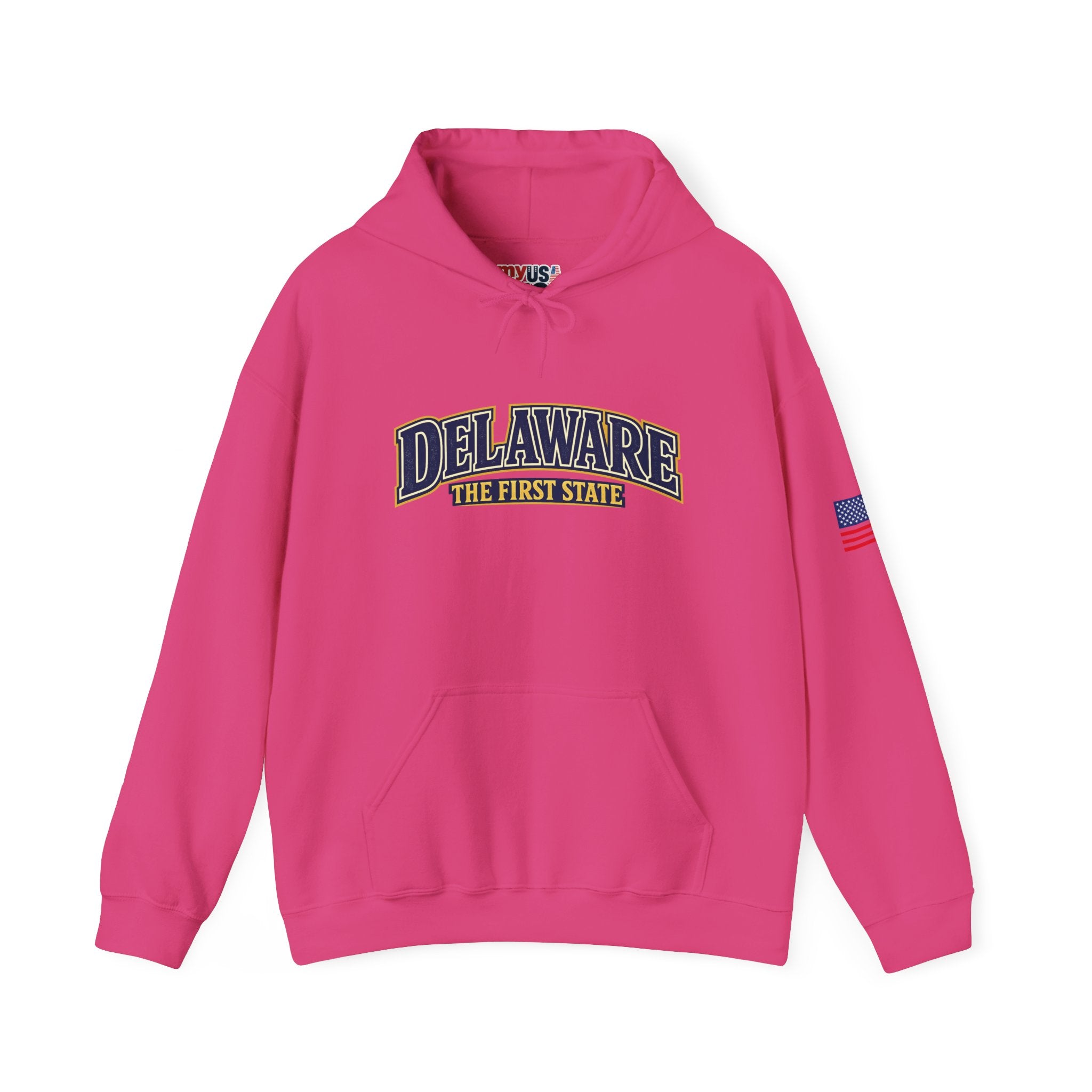Delaware The First State Heavy Blend Hooded Sweatshirt