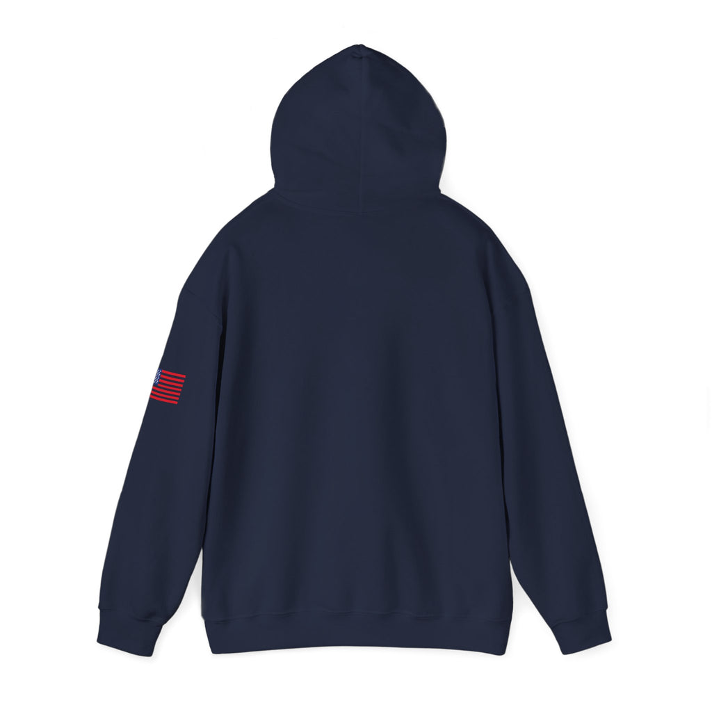 Delaware The First State Heavy Blend Hooded Sweatshirt