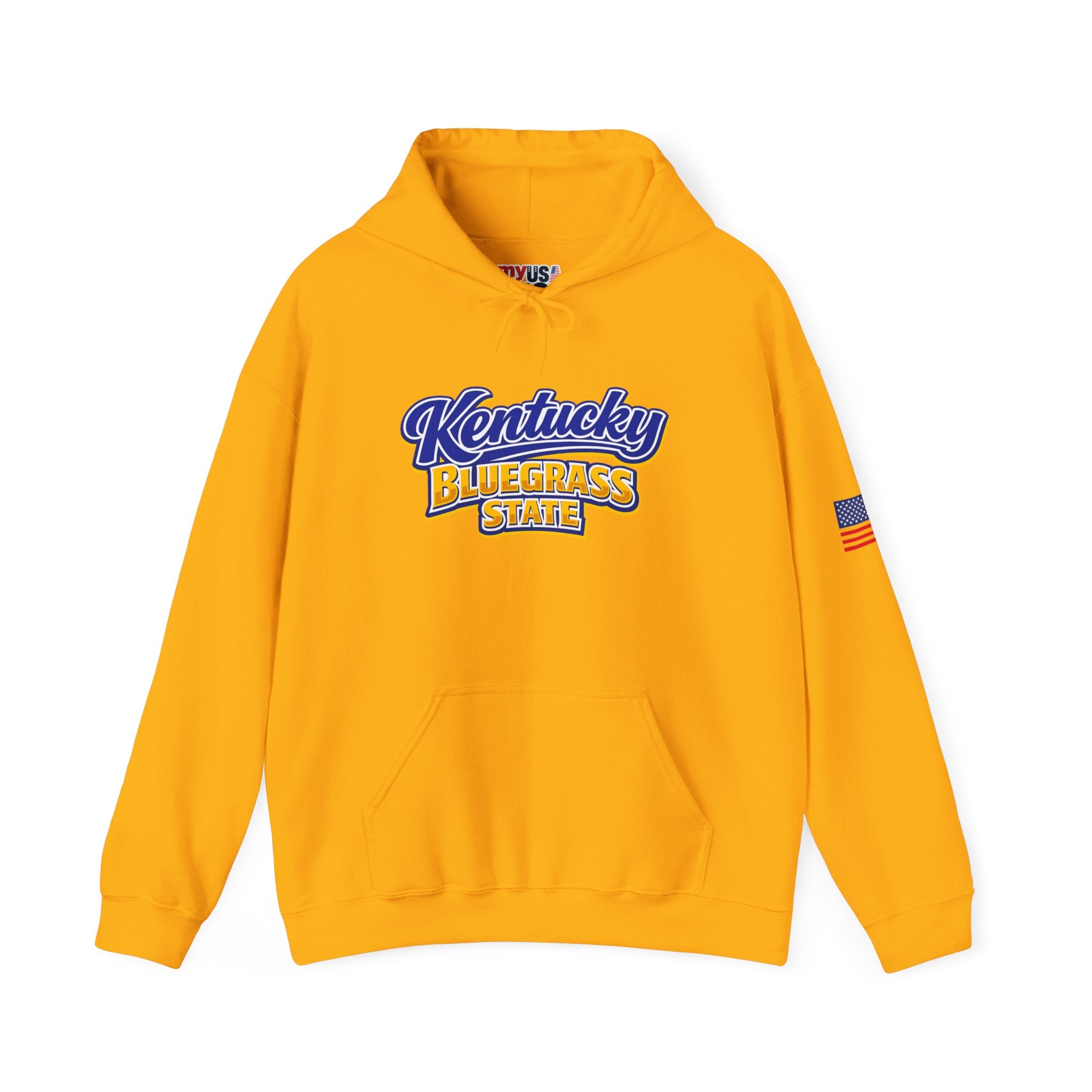 Kentucky Bluegrass State Heavy Blend Hooded Sweatshirt