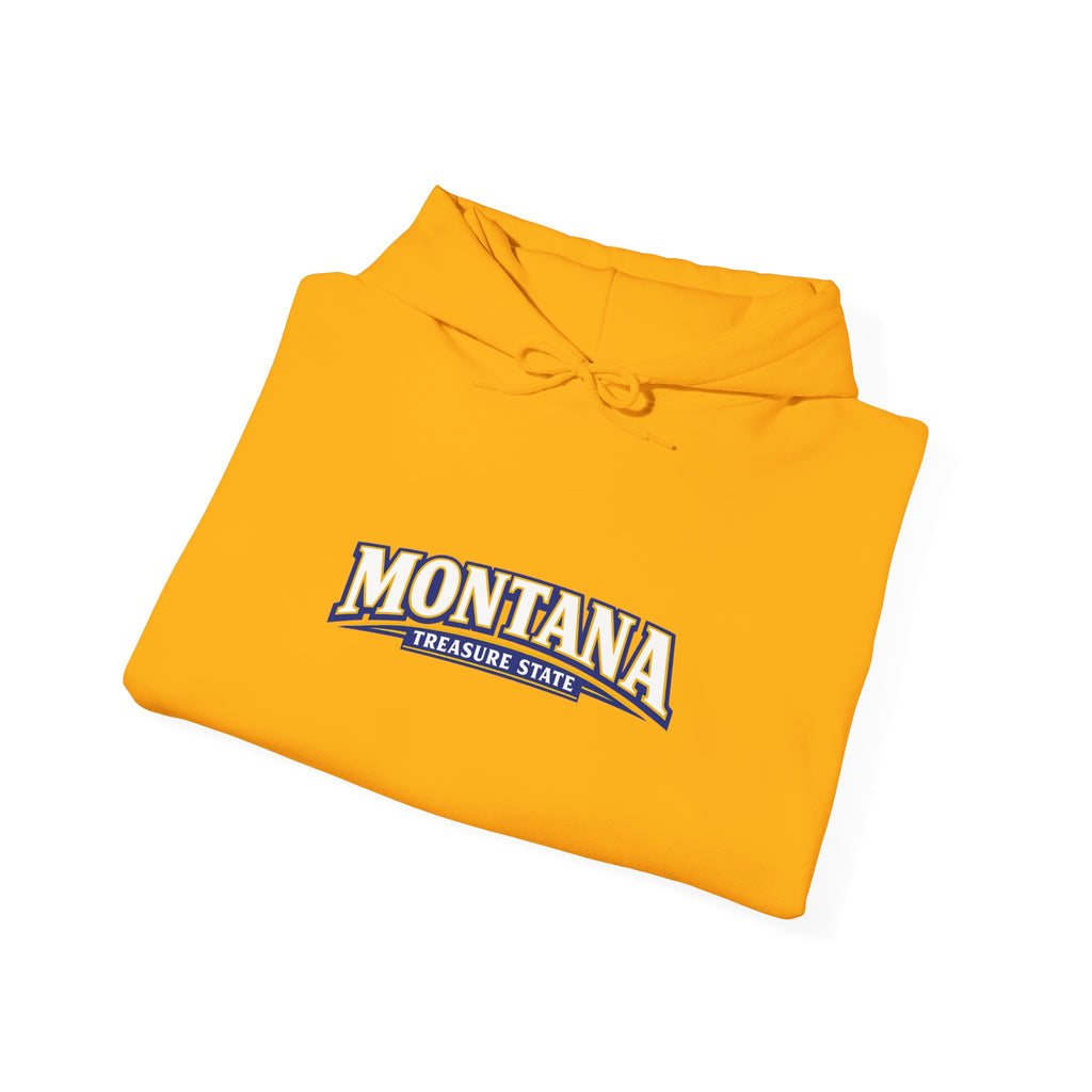 Montana Treasure State Heavy Blend Hooded Sweatshirt