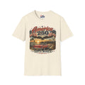 America 250 Santa Monica T-Shirt — USA 250 Years of Freedom Vintage Graphic Tee