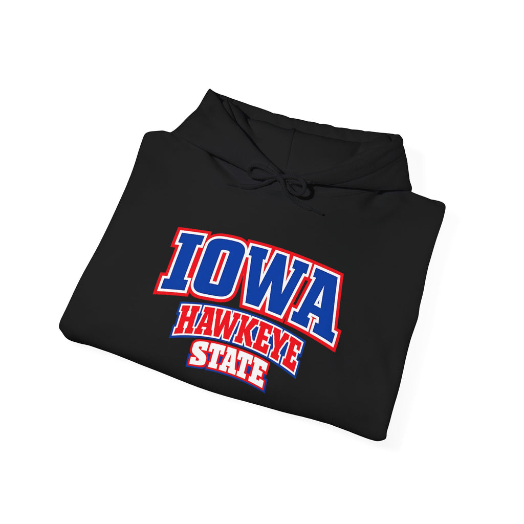 Iowa Hawkeye State Heavy Blend Hooded Sweatshirt