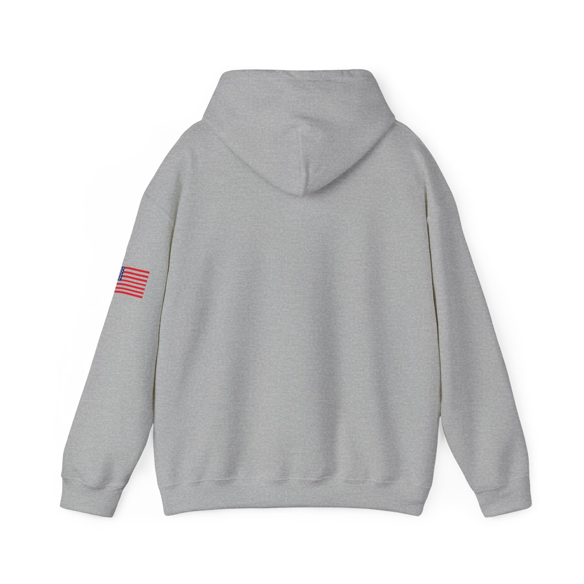 Texas The Lone Star State Heavy Blend Hooded Sweatshirt