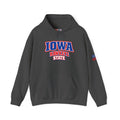 Iowa Hawkeye State Heavy Blend Hooded Sweatshirt