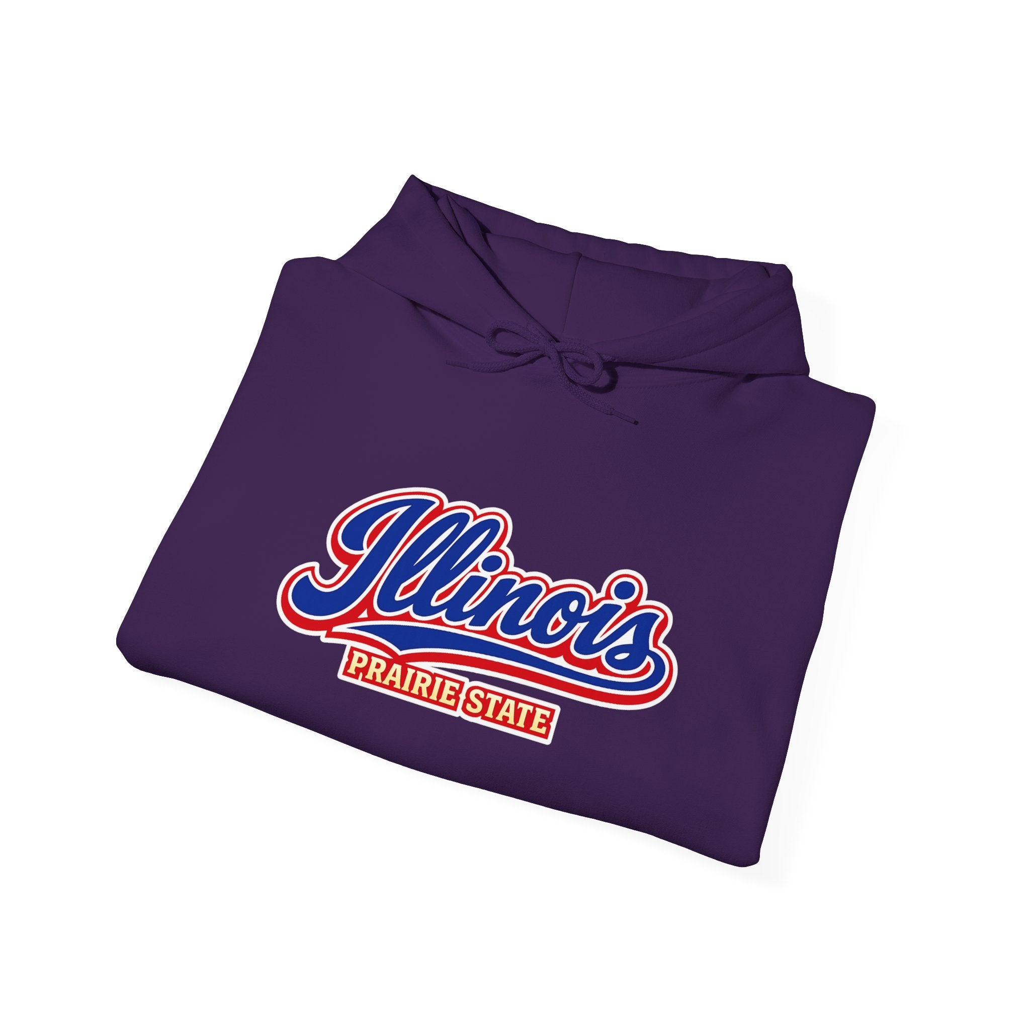 Illinois Prairie State Heavy Blend Hooded Sweatshirt