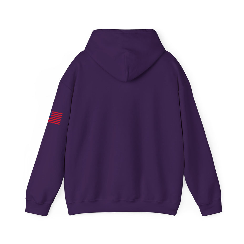 Texas The Lone Star State Heavy Blend Hooded Sweatshirt