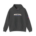 Montana Treasure State Heavy Blend Hooded Sweatshirt