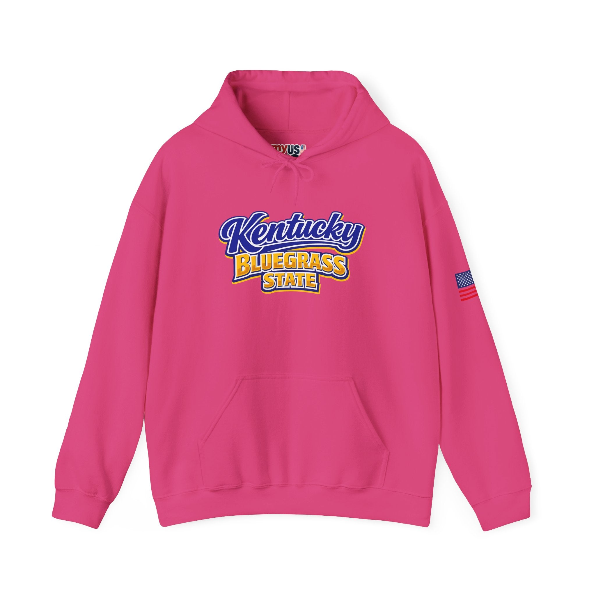 Kentucky Bluegrass State Heavy Blend Hooded Sweatshirt