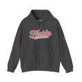 Florida The Sunshine State Heavy Blend Hooded Sweatshirt