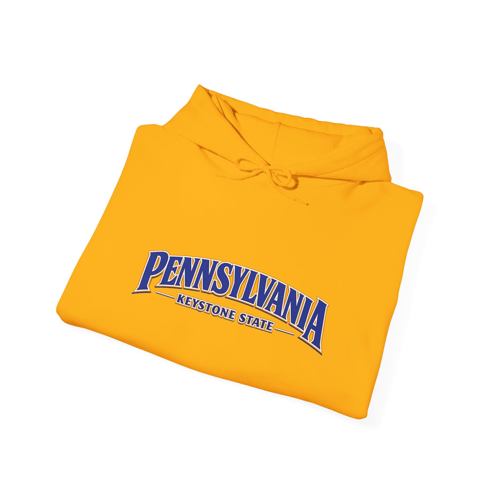 Pennsylvania Keystone State Heavy Blend Hooded Sweatshirt