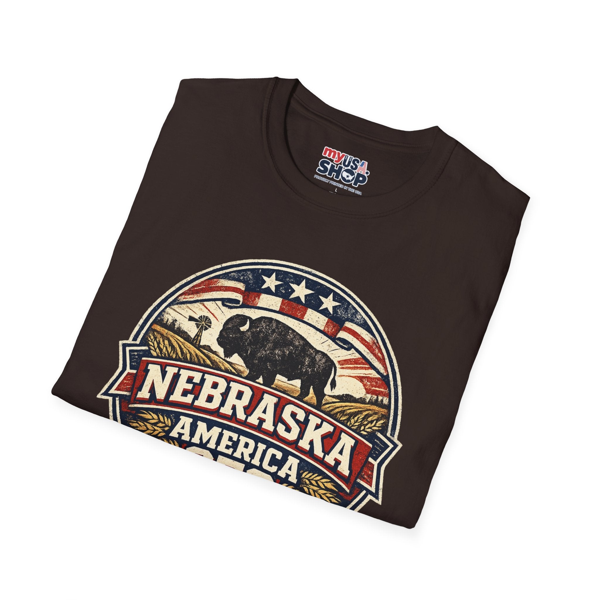 Nebraska Buffalo Retro T-Shirt — America 250 Vintage State Pride Tee