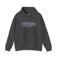 Wisconsin Badger State Heavy Blend Hooded Sweatshirt