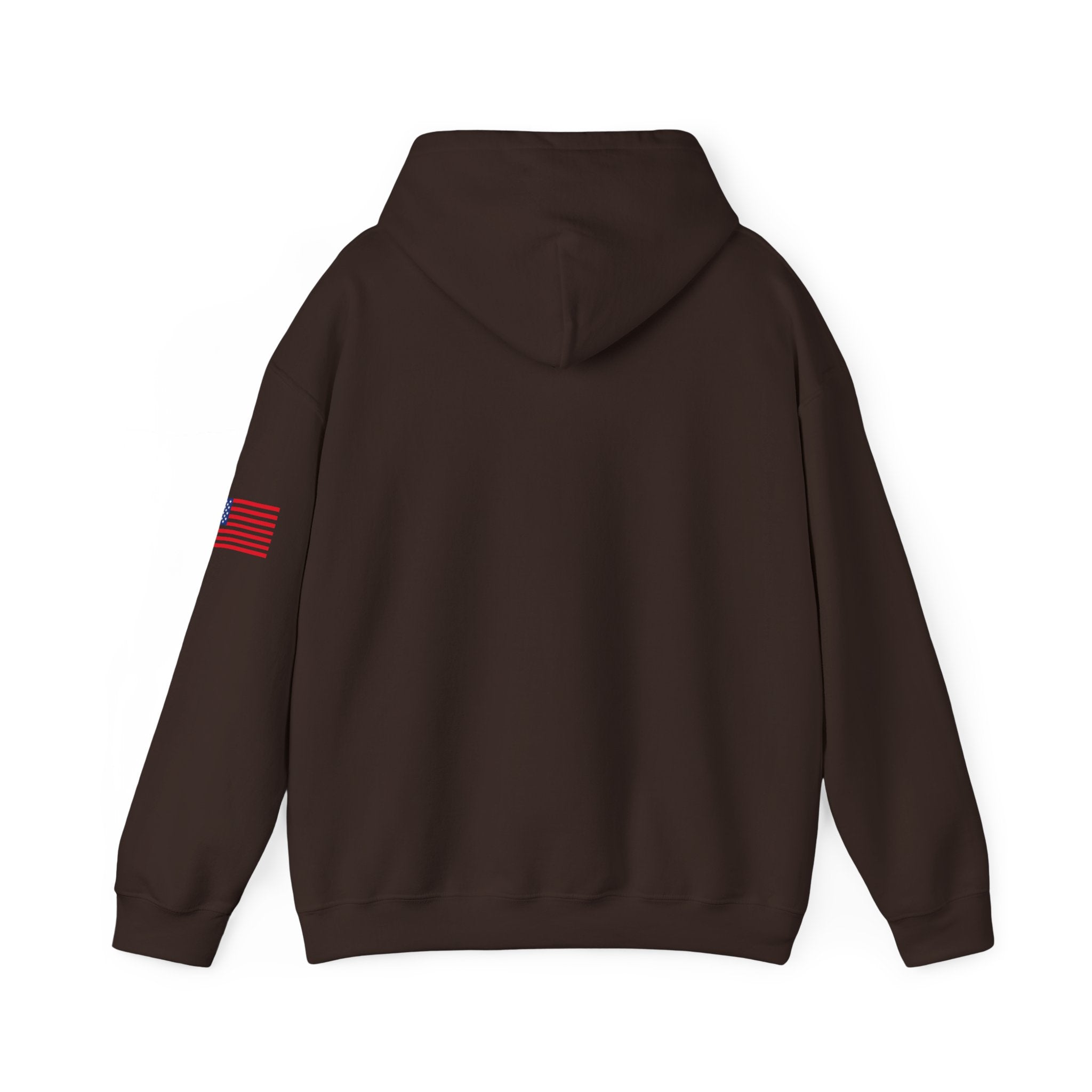 Minnesota North Star State Heavy Blend Hooded Sweatshirt