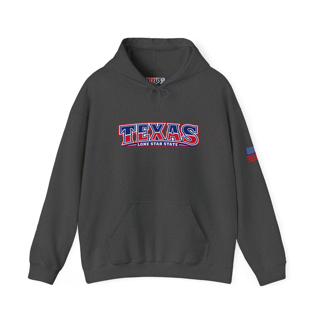 Texas The Lone Star State Heavy Blend Hooded Sweatshirt