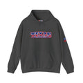 Texas The Lone Star State Heavy Blend Hooded Sweatshirt