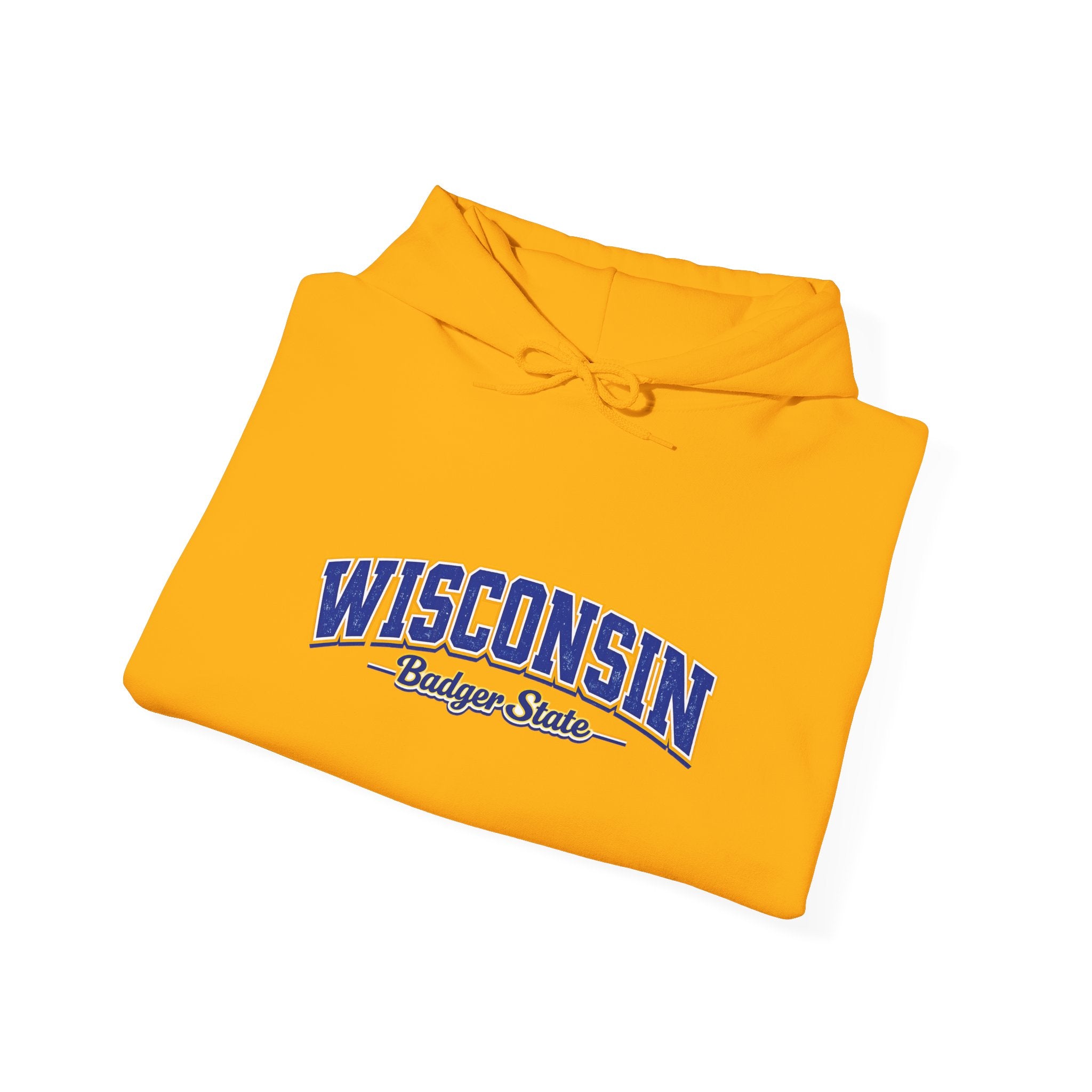 Wisconsin Badger State Heavy Blend Hooded Sweatshirt