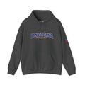 Pennsylvania Keystone State Heavy Blend Hooded Sweatshirt