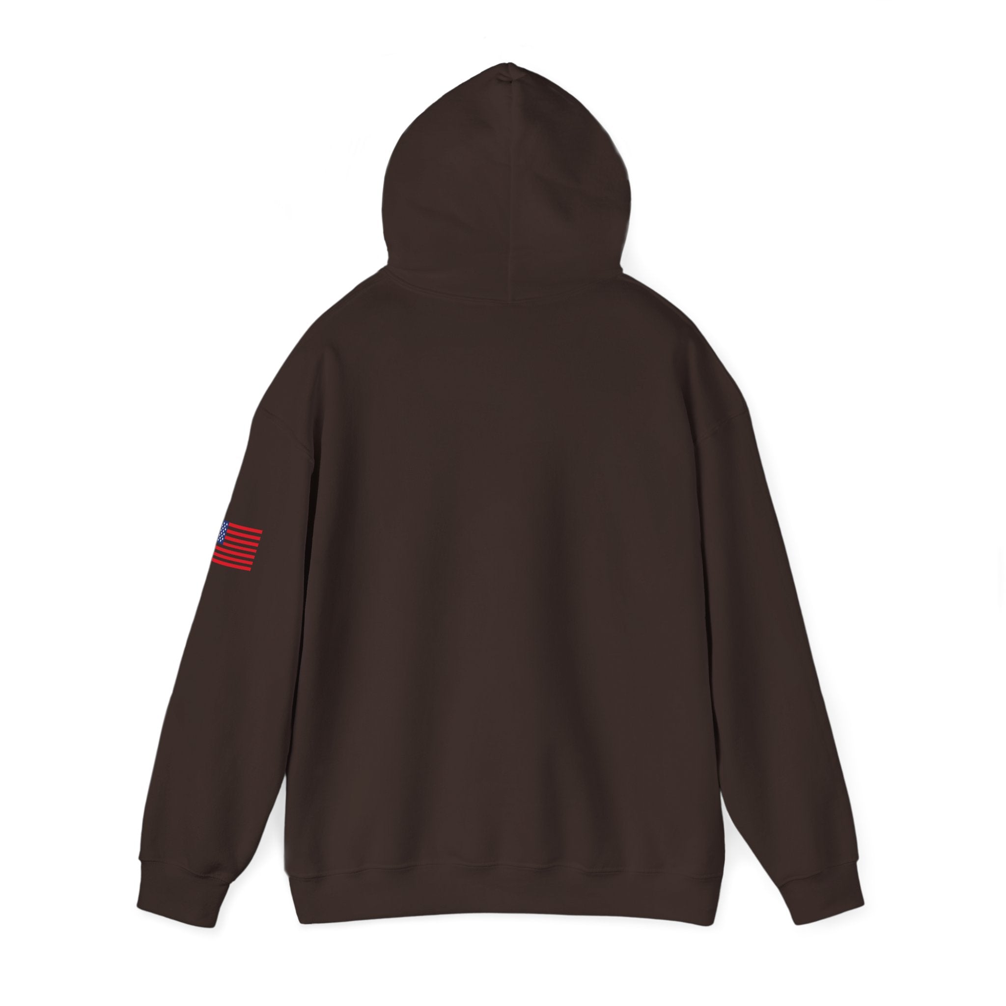 Texas The Lone Star State Heavy Blend Hooded Sweatshirt