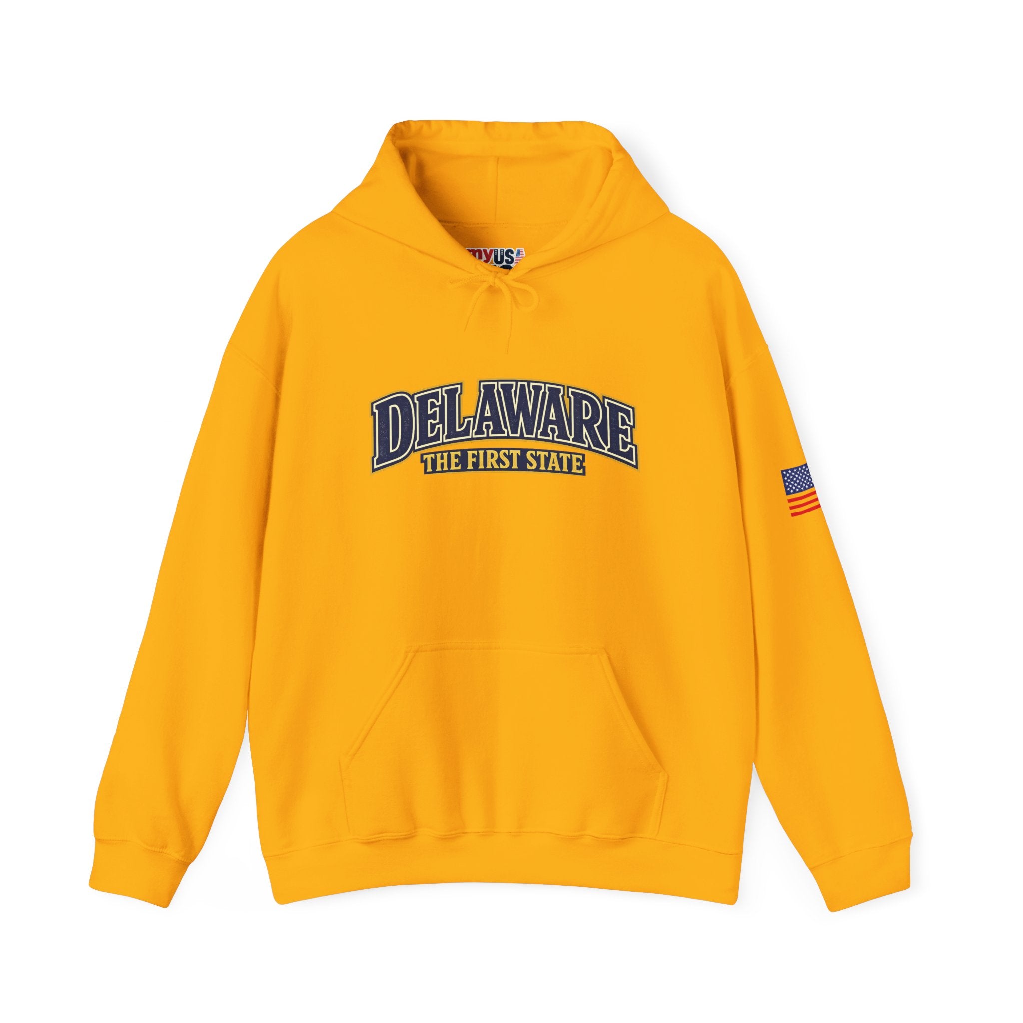 Delaware The First State Heavy Blend Hooded Sweatshirt