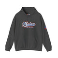 Maine Pine Tree State Heavy Blend Hooded Sweatshirt