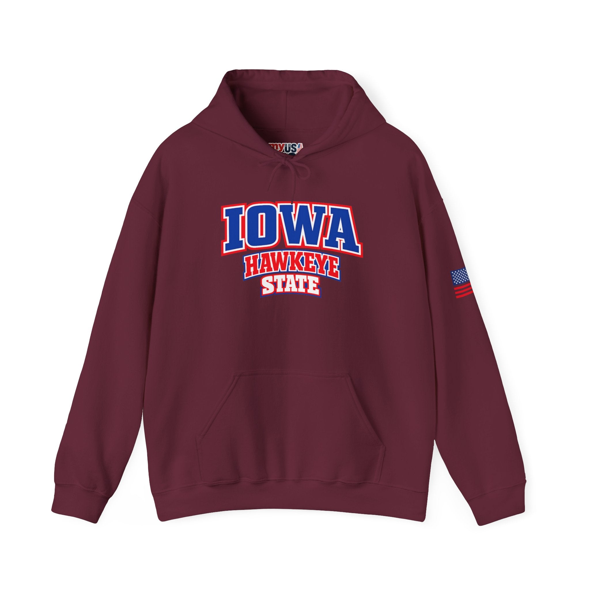 Iowa Hawkeye State Heavy Blend Hooded Sweatshirt