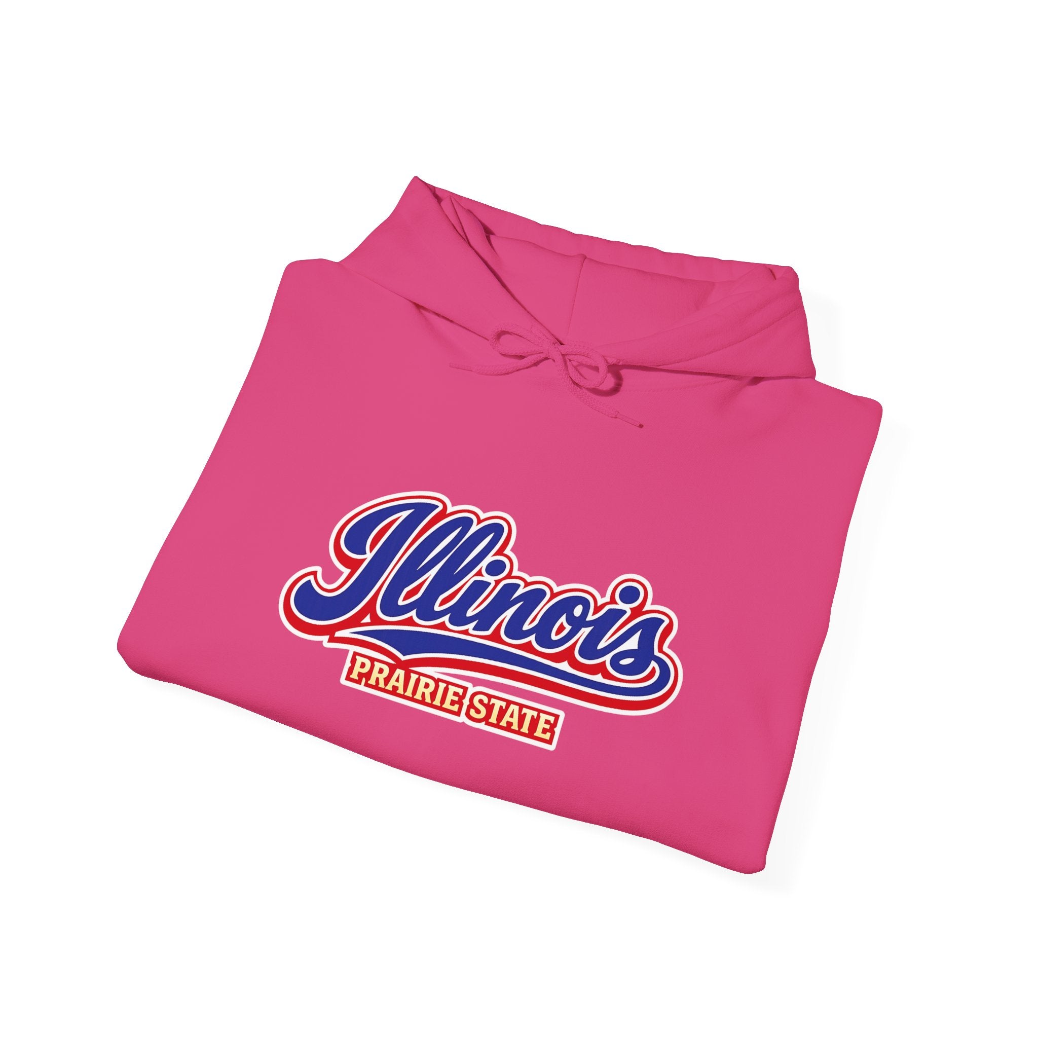 Illinois Prairie State Heavy Blend Hooded Sweatshirt