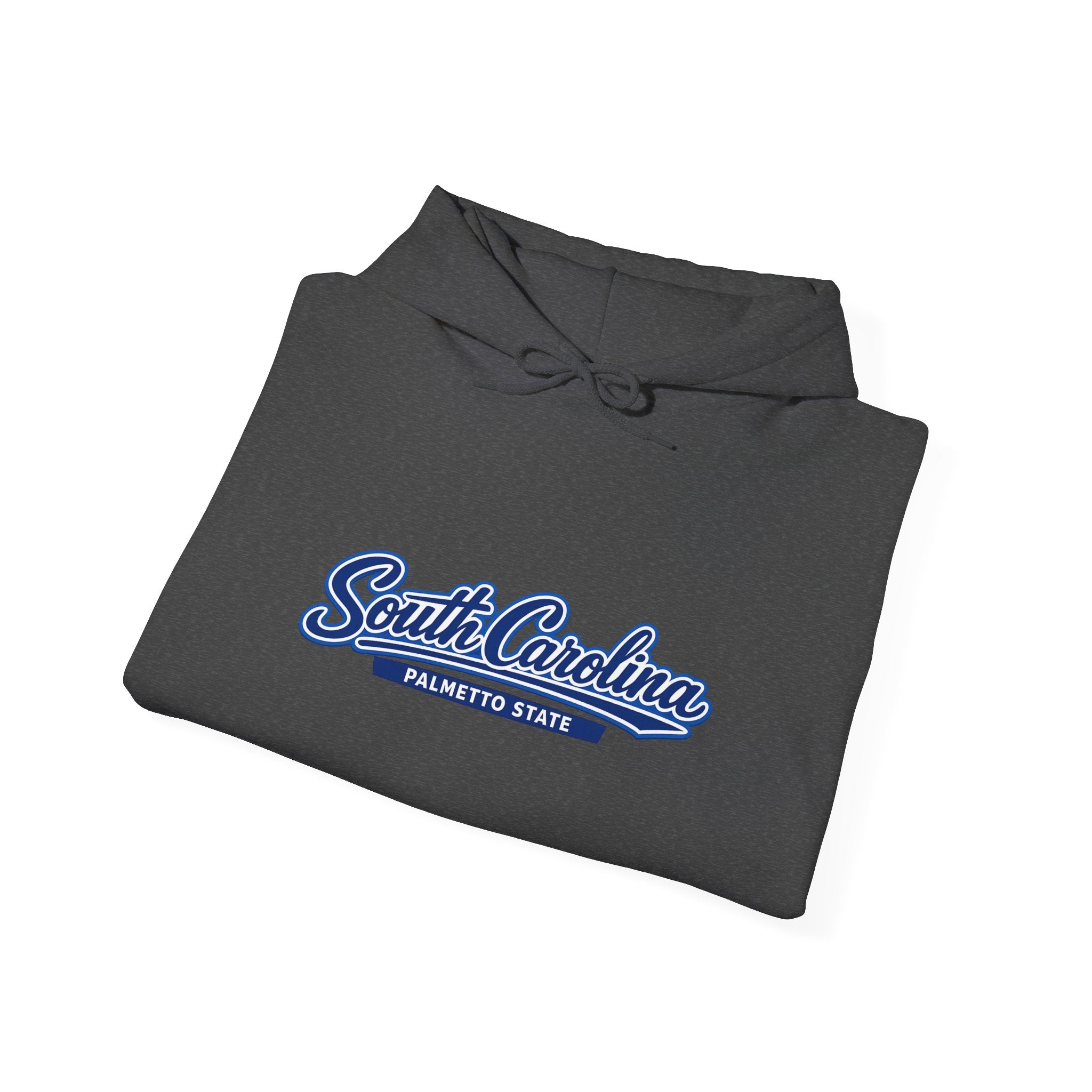 South Carolina Palmetto State Heavy Blend Hooded Sweatshirt