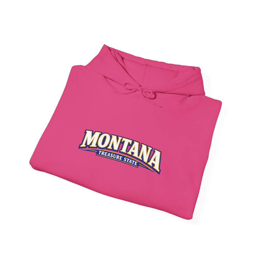 Montana Treasure State Heavy Blend Hooded Sweatshirt
