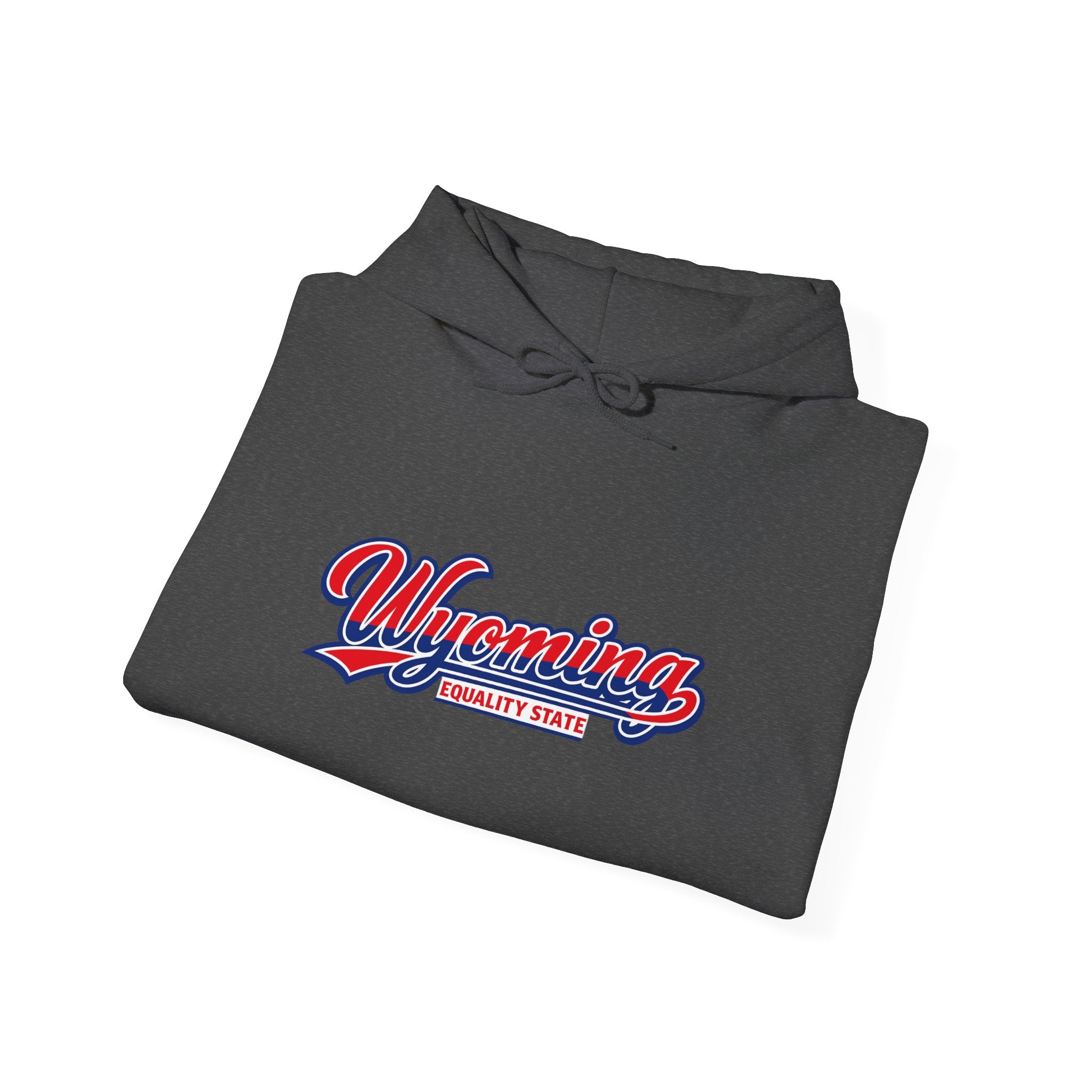 Wyoming Equality State Heavy Blend Hooded Sweatshirt