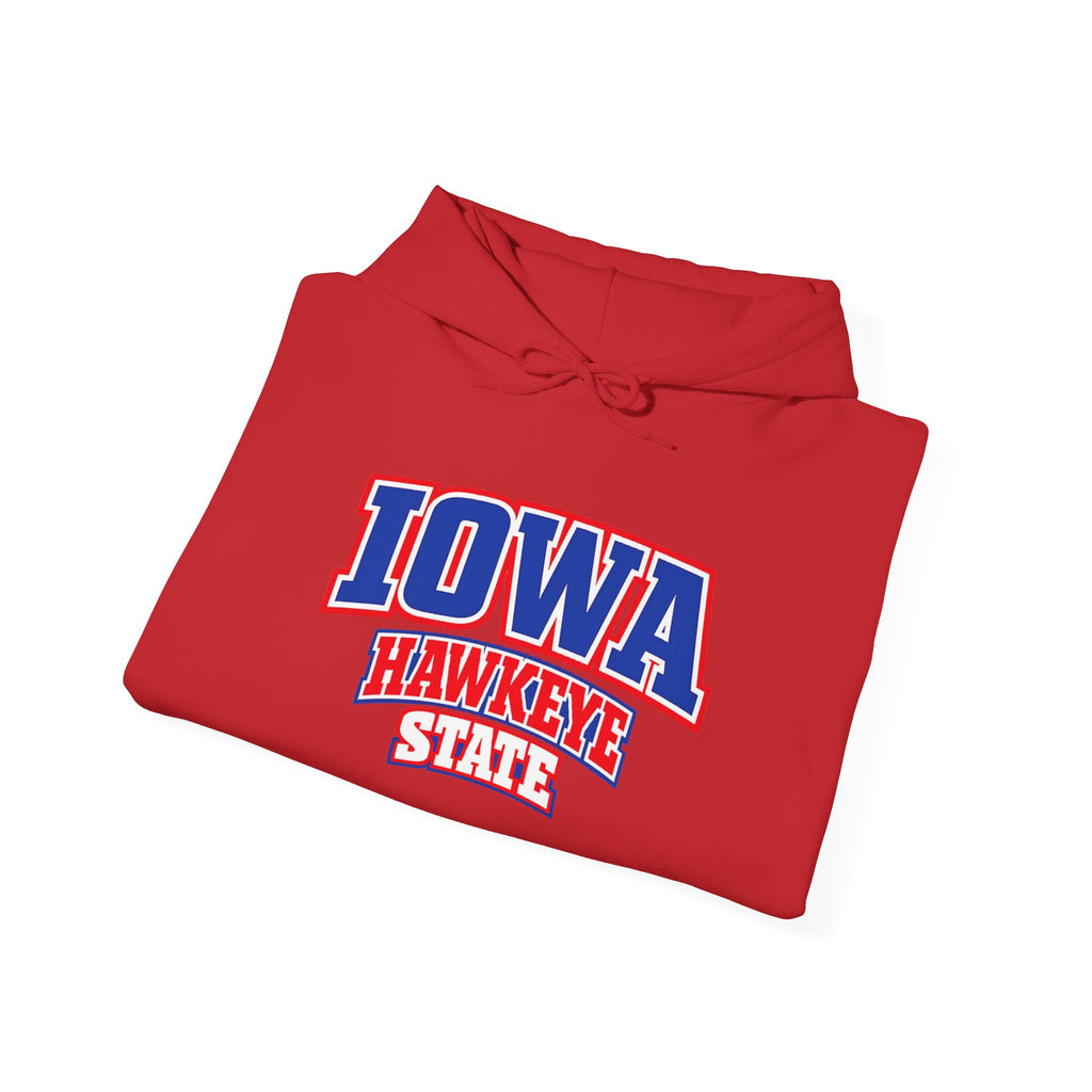 Iowa Hawkeye State Heavy Blend Hooded Sweatshirt
