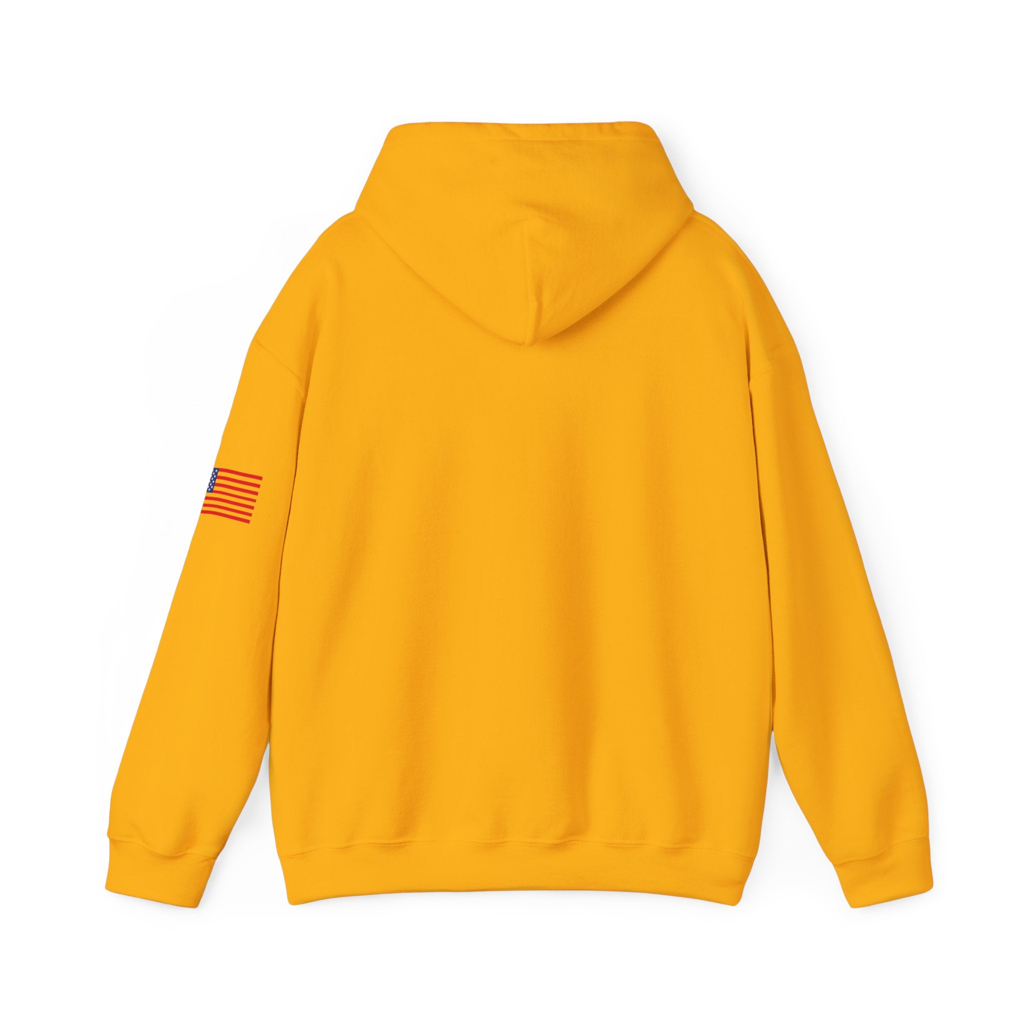 Arkansas The Natural State Heavy Blend Hooded Sweatshirt