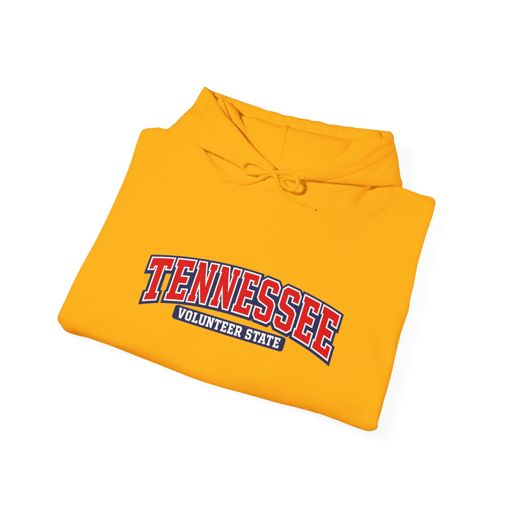 Tennessee Volunteer State Heavy Blend Hooded Sweatshirt