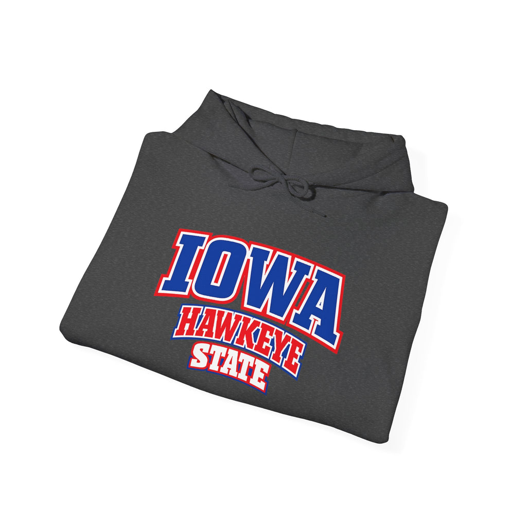 Iowa Hawkeye State Heavy Blend Hooded Sweatshirt