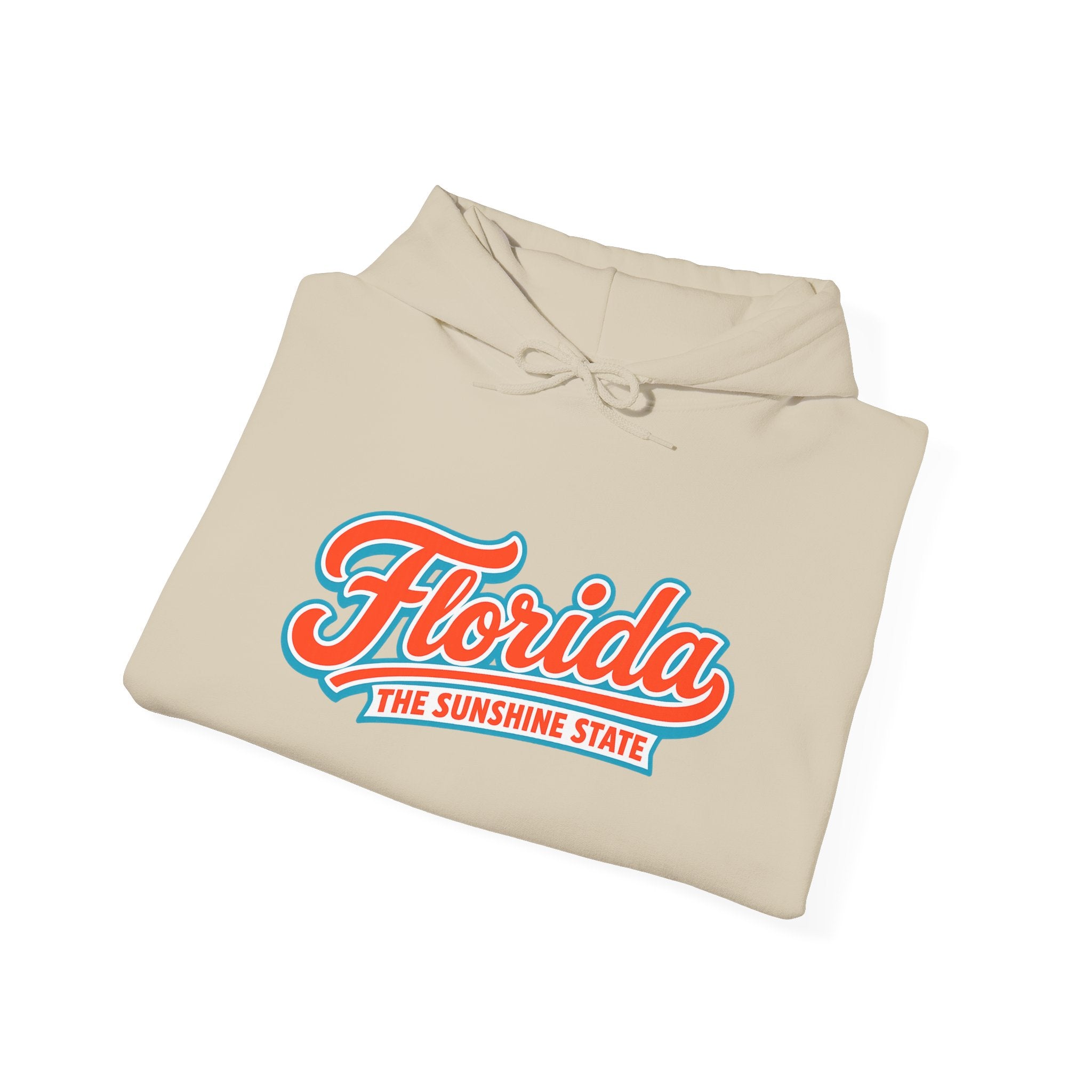 Florida The Sunshine State Heavy Blend Hooded Sweatshirt