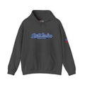South Carolina Palmetto State Heavy Blend Hooded Sweatshirt