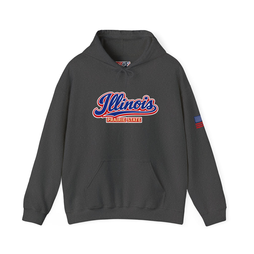 Illinois Prairie State Heavy Blend Hooded Sweatshirt