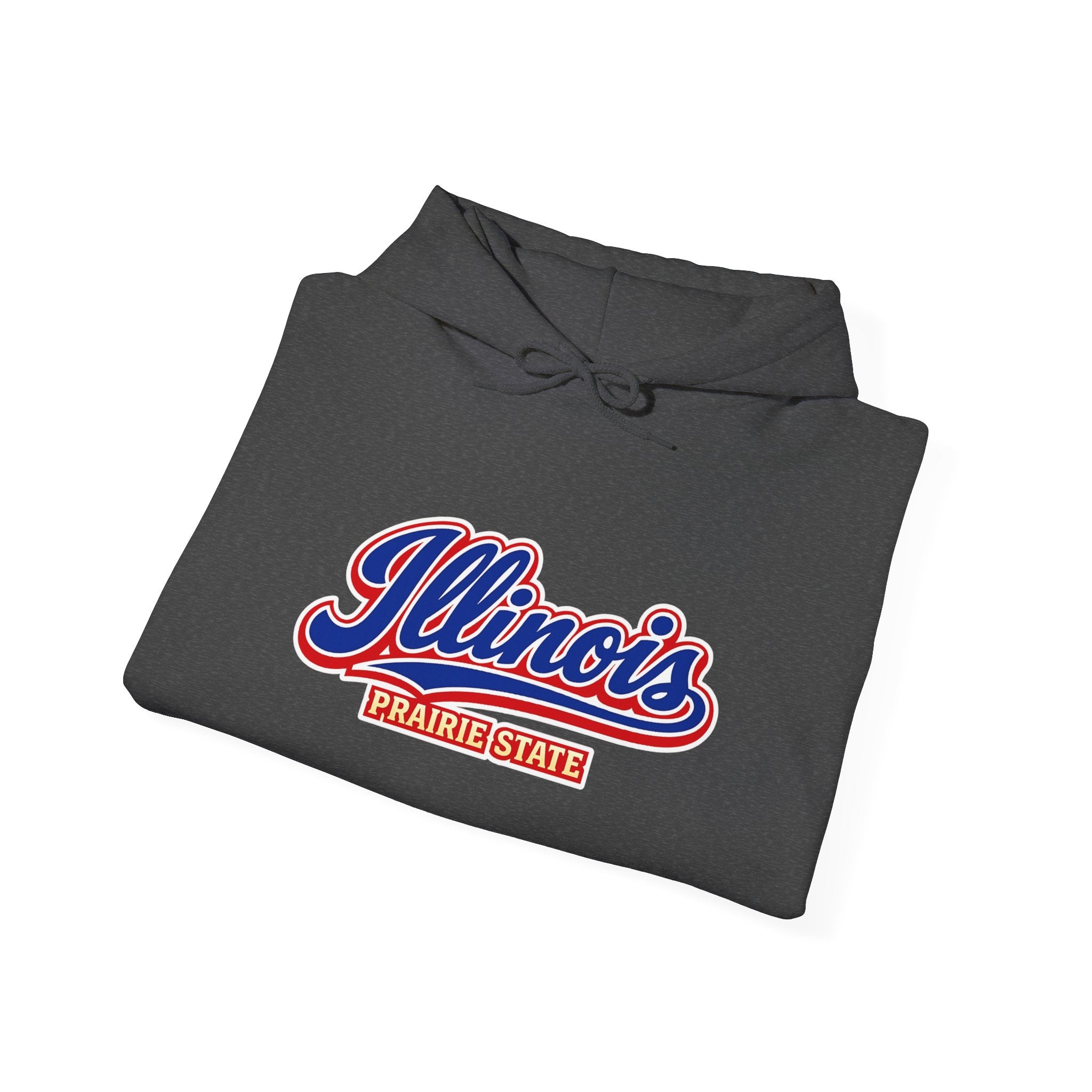 Illinois Prairie State Heavy Blend Hooded Sweatshirt