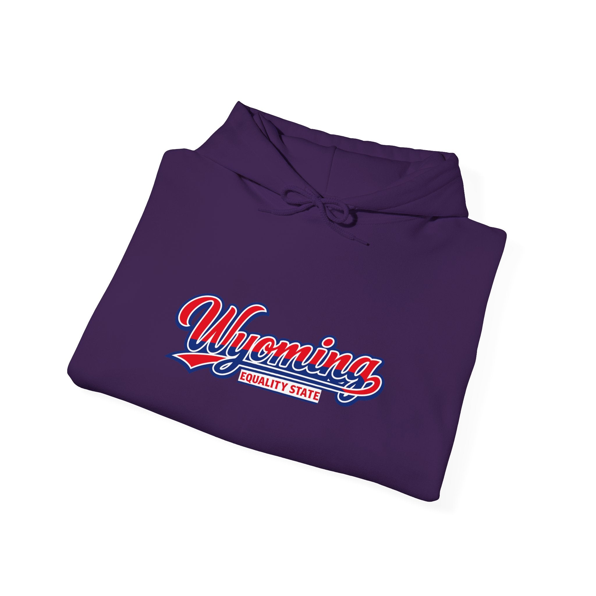 Wyoming Equality State Heavy Blend Hooded Sweatshirt