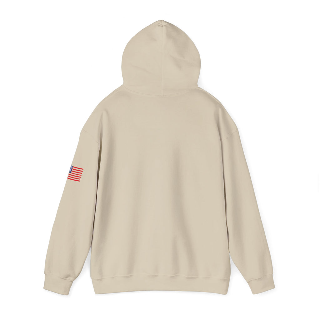 Texas The Lone Star State Heavy Blend Hooded Sweatshirt