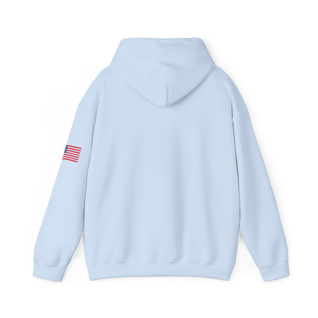 Texas The Lone Star State Heavy Blend Hooded Sweatshirt